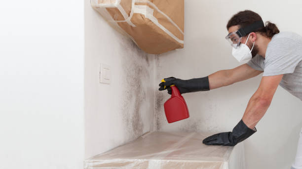 Professional Attic Mold Remediation technician working in Roslyn Heights, NY